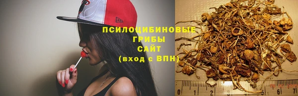 шишки Магадан