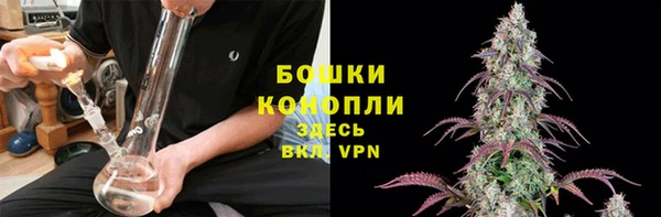 шишки Магадан